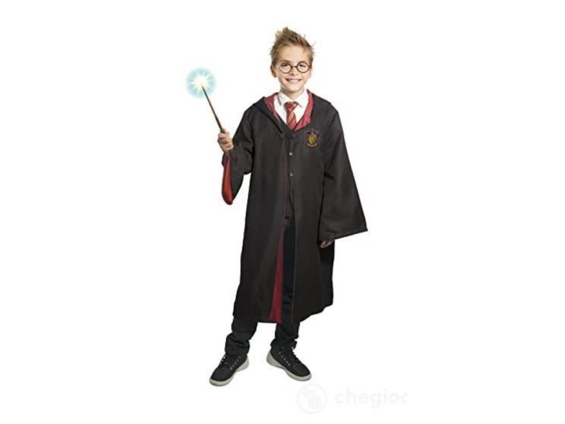 Costume Harry Potter